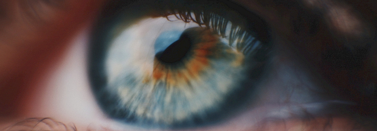 Retina of the eye